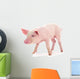 Baby Pig Wall Decal