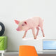 Baby Pig Wall Decal