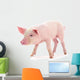 Baby Pig Wall Decal