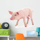 Baby Pig Wall Decal