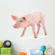 Baby Pig Wall Decal