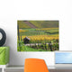 Vineyard Autumn Wall Decal