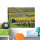 Vineyard Autumn Wall Decal