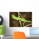 Resting Lizard Wall Mural