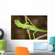 Resting Lizard Wall Mural