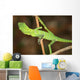 Resting Lizard Wall Mural