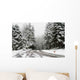 Snow Covered Road Wall Decal