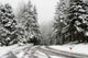 Snow Covered Road Wall Decal