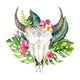 Tropical Bohemian Cow Skull Wall Decal