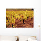 Vignes Wall Decal Design 4