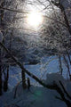 Winterstimmung Wall Decal