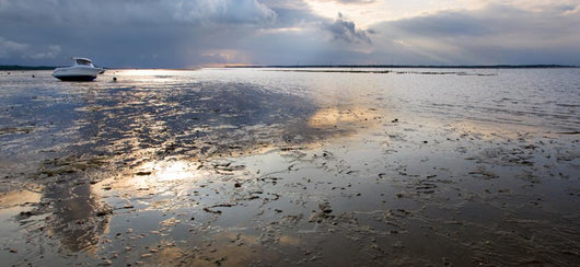 Soleil Couchant Mare Basse