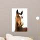 Foal with Grass