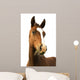 Foal with Grass