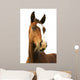 Foal with Grass