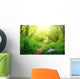 ground road in summer green forest Wall Mural