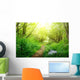 ground road in summer green forest Wall Mural