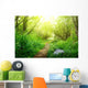 ground road in summer green forest Wall Mural
