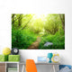 ground road in summer green forest Wall Mural