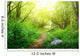 ground road in summer green forest Wall Mural