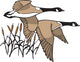 Geese in Flight Wall Decal