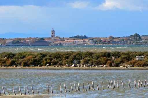 Marseillan 1 Wall Decal
