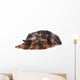 Yorkshire Terrier Lying down Wall Mural