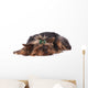 Yorkshire Terrier Lying down Wall Mural