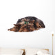 Yorkshire Terrier Lying down Wall Mural