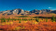 Denali National Park Autumn Wall Mural