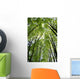 Canopy Wall Mural