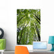 Canopy Wall Mural
