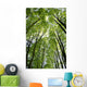 Canopy Wall Mural