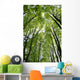 Canopy Wall Mural