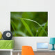 Grass Wall Mural
