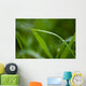 Grass Wall Mural