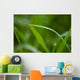 Grass Wall Mural