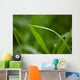 Grass Wall Mural