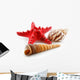 Colored Seashells (Starfish and Scallop) Isolated on White Wall Decal