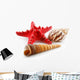 Colored Seashells (Starfish and Scallop) Isolated on White Wall Decal