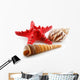 Colored Seashells (Starfish and Scallop) Isolated on White Wall Decal