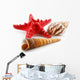 Colored Seashells (Starfish and Scallop) Isolated on White Wall Decal