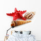 Colored Seashells (Starfish and Scallop) Isolated on White Wall Decal