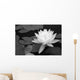 Waterlily in Black and White Wall Mural
