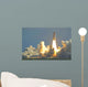 Space Shuttle Wall Mural