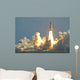 Space Shuttle Wall Mural