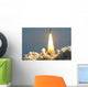 Space Shuttle Wall Mural