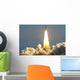 Space Shuttle Wall Mural