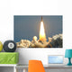 Space Shuttle Wall Mural