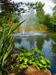 Pond Fountain with Rainbow Wall Decal